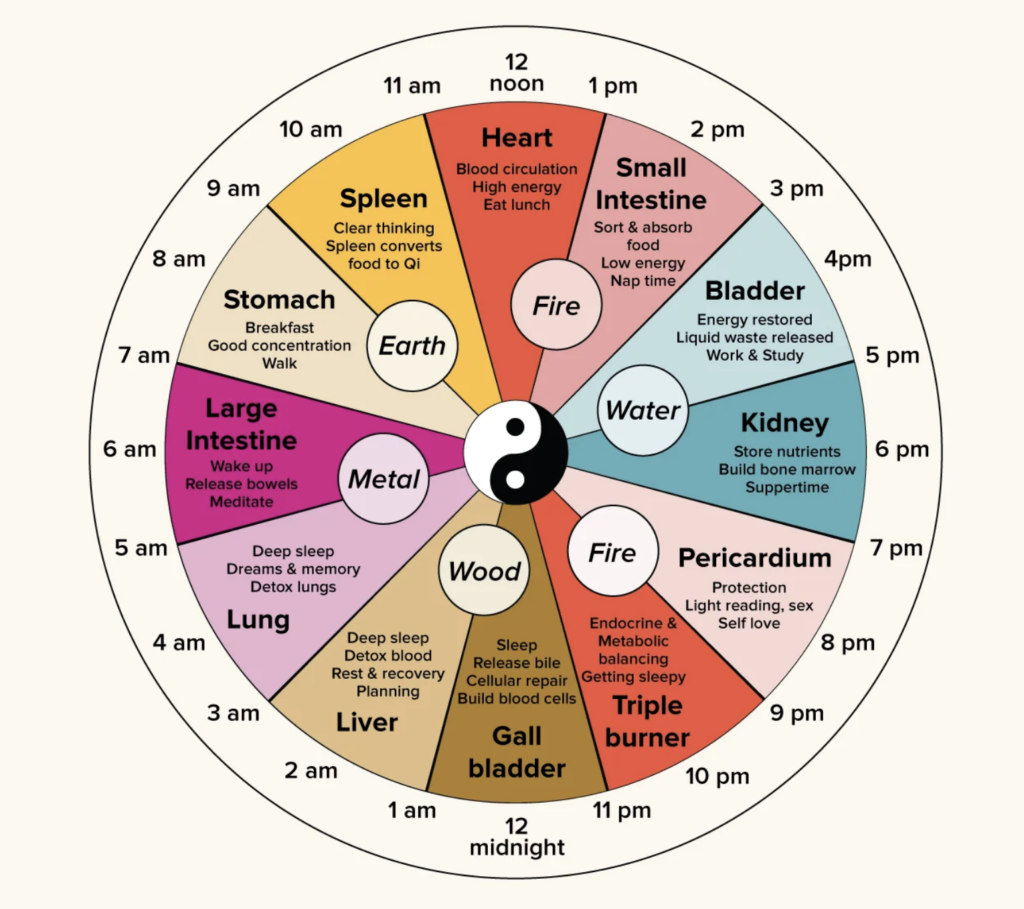 ancient Chinese Medicine Clock
